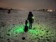 Leucht-Hundegeschirr "Flex" M LEDs: Blau 2.0
