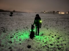 Leucht-Hundegeschirr "Flex" M LEDs: Rot 2.0