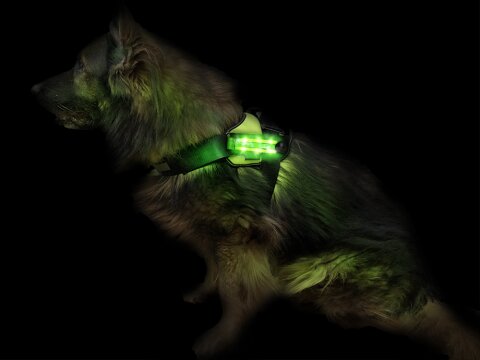 Leucht-Hundegeschirr "Flex" L LEDs: Grün 2.0