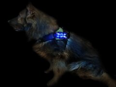 Leucht-Hundegeschirr "Flex" L LEDs: Blau