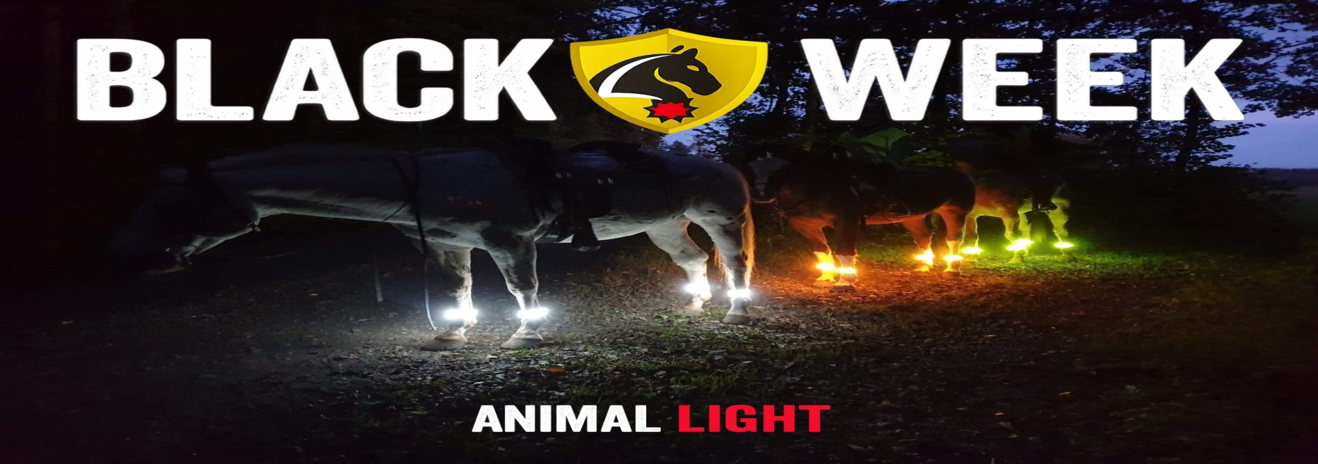 Black Week: LED-Sichtbarkeit für Pferd und Hund – ANIMAL-LIGHT